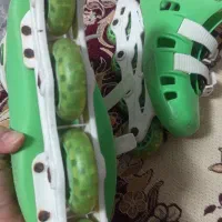 کفش اسکی