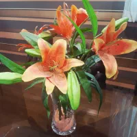 ۵شاخه گل مصنوعی لیلیوم