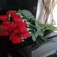 گل رز و شب بو