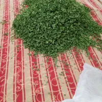 سبزی خشک شده شامل جعفری وتره