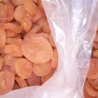 قیصی  قیسی و برگه