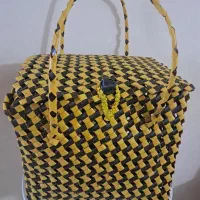 سبد جافلاسکی