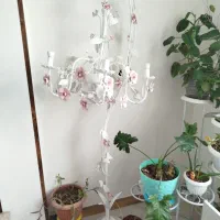 لستر وکنار سالنی