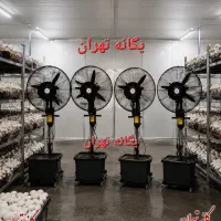 پنکه ایستاده مهپاش خشک مه پاش75پرورش قارچ گلخانه65