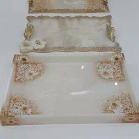 سینی رزینی