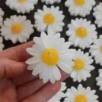 شمع گل بابونه معلق روی آب