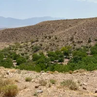 زمین ساردوئیه جیرفت معاوضه