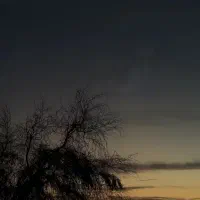 زمین ویلایی