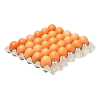 تخم مرغ محلی 18تومن