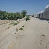 زمین-کشاورزی-قهدریجان-صحرای-دودونگه-سید-محمد