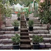 استخدام نیرو کافه رستوران واقع در مشهد