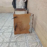 کفتر|پرنده|مشهد, دوست آباد|دیوار