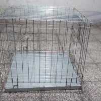 قفس درحدنو نو