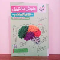 هوش مالتیپل