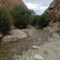 تور گردشگری