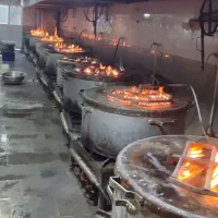 آشپزخانه و کترینگ ریحانه الرسول