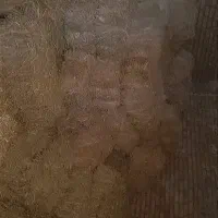 کاه و پرس زعفران