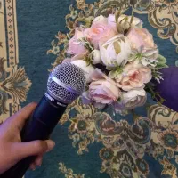 دیجی ثمین