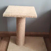 اسکچر گربه