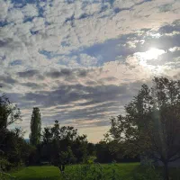 سوییت-ویلایی-حیاط-دار