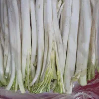 کنگر کرمانشاه