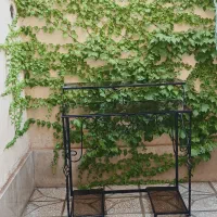 میز تحریر