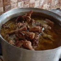 حمایت حیوانات خانگی هاپوجانا
