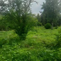 فروش یک قطعه زمین مسکونی