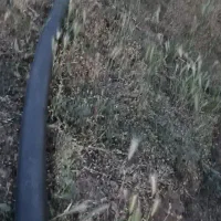 لوله پلی اتیلین ۶۳