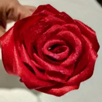 تامین شاخه گل ساتن شاین‌دار (تولید مداوم هفتگی)