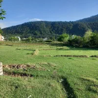 فروش زمین مسکونی در کلاردشت
