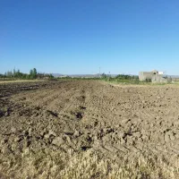 زمین جهت ساخت ویلا و باغ درخت کاری