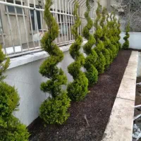 خدمات باغبانی گلکاری کاشت گل تعویض خاک گلدان