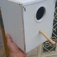 لانه لونه PVC پی وی سی