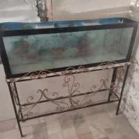 آکواریوم زیر قیمت فوری