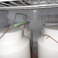 ماست گوسفندی اعلا خونگی