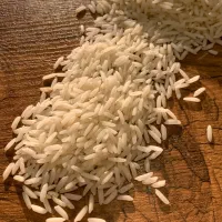 برنج هاشمی امساله