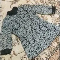 اسب