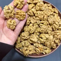 مغز گردوی فسنجونی تا لوکس، خرید مستقیم از تولیدی