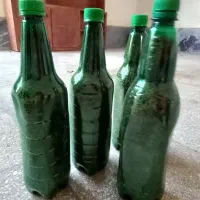 عدس و نخود لوبیا