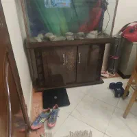 آکواریوم