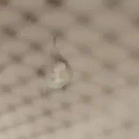 قفس