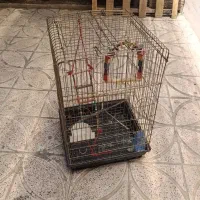 قفس پرنده بزرگ