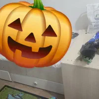 سرویس خواب نوزاد و کودک آپادانا
