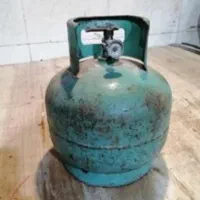 پیک نیک همراه باسری