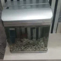 اکواریوم