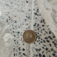 فروش سکه پنجی و یکی