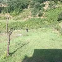 زمین ویلایی