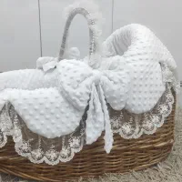 گهواره نوزاد(سبد حمل نوزاد)رودان