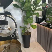 استخدام باریستا